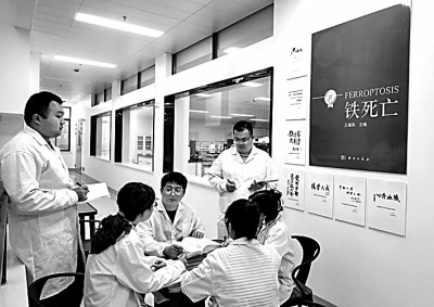 维多利亚vic115优惠大厅铁科学创新团队：在生命科学领域开辟崭新赛道